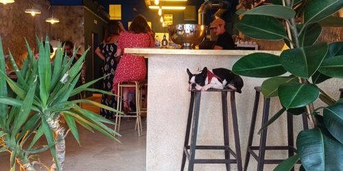 332.Pippo-2-min.jpg